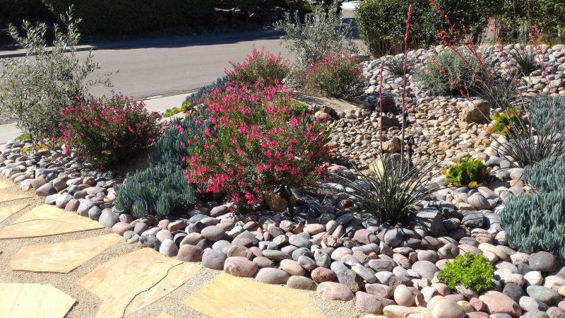 Cost of Xeriscape Landscaping — Cost of Xeriscape Landscaping