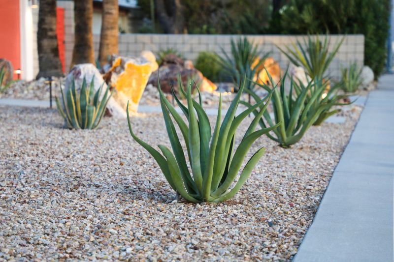 Drought-Resistant Plantings