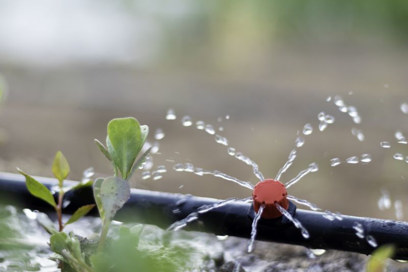 Water-Efficient Irrigation Systems